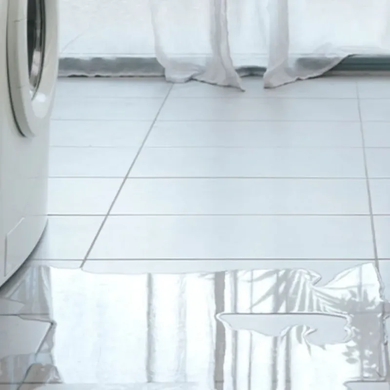 Appliance Leak Cleanup in Congress, AZ