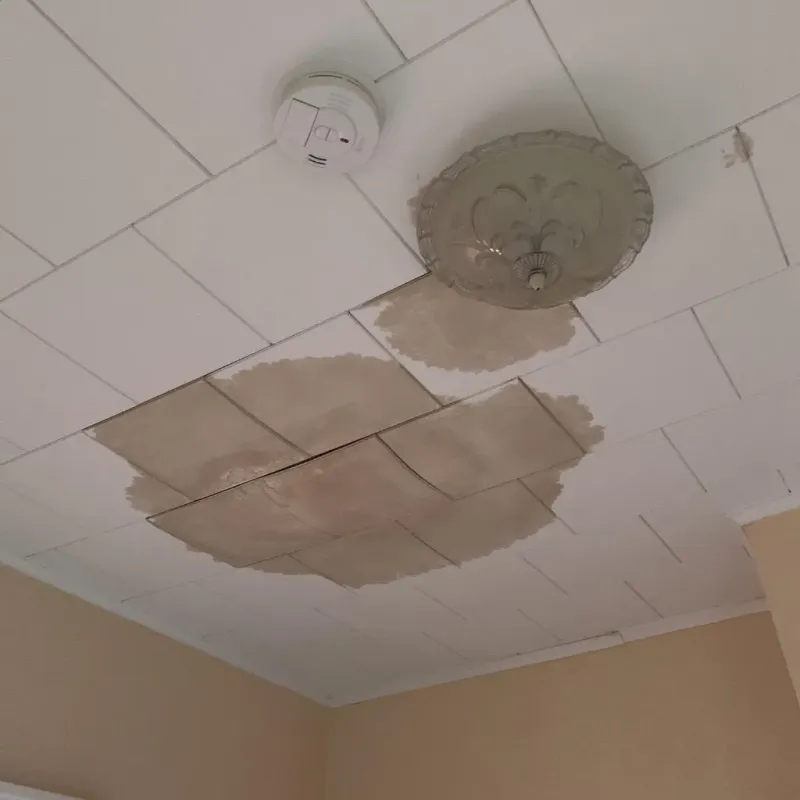 Ceiling Water Damage Repair in Congress, AZ