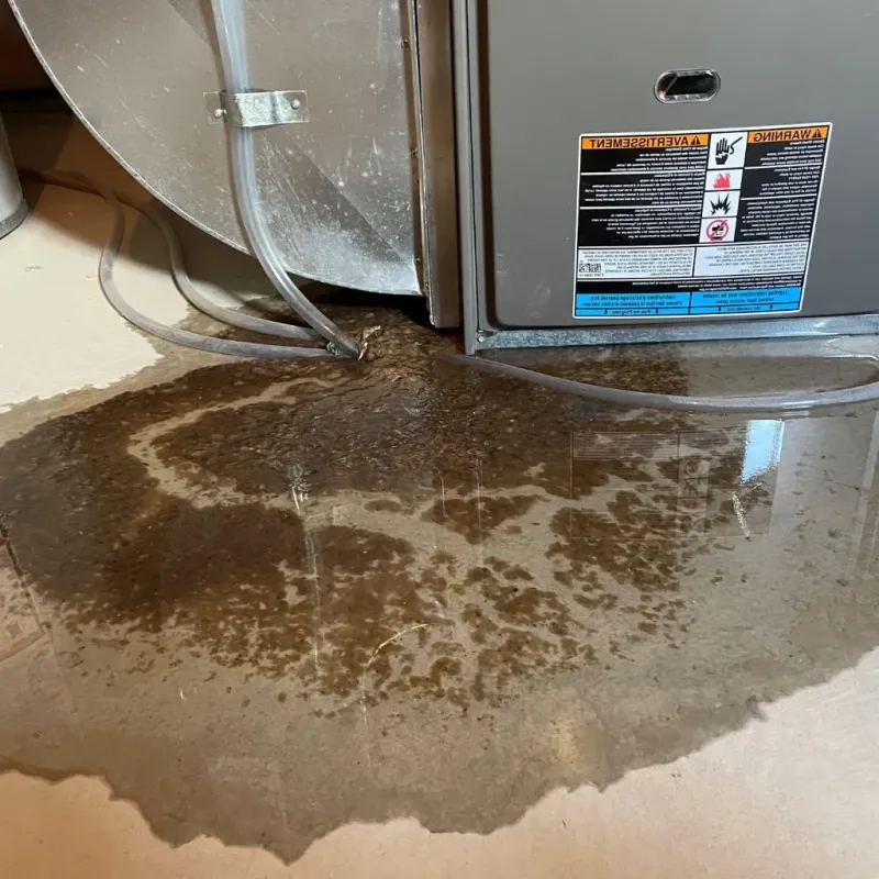 Pipe Burst and Leak Restoration in Congress, AZ