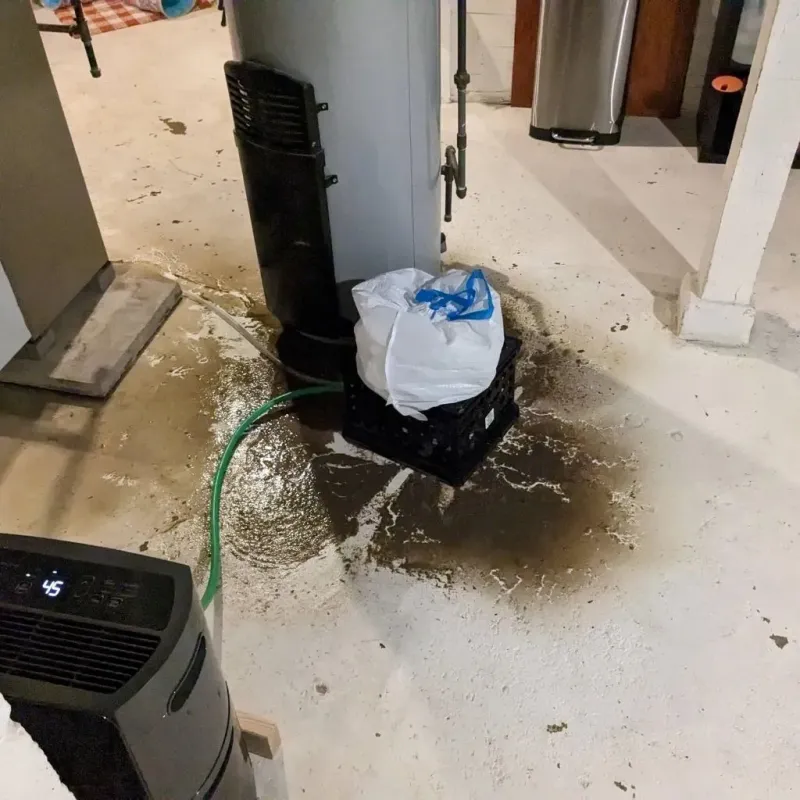 Sewage Backup Cleanup Service in Congress, AZ